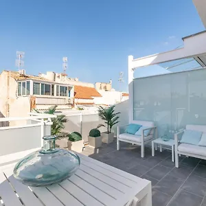 Penthouse Apartment